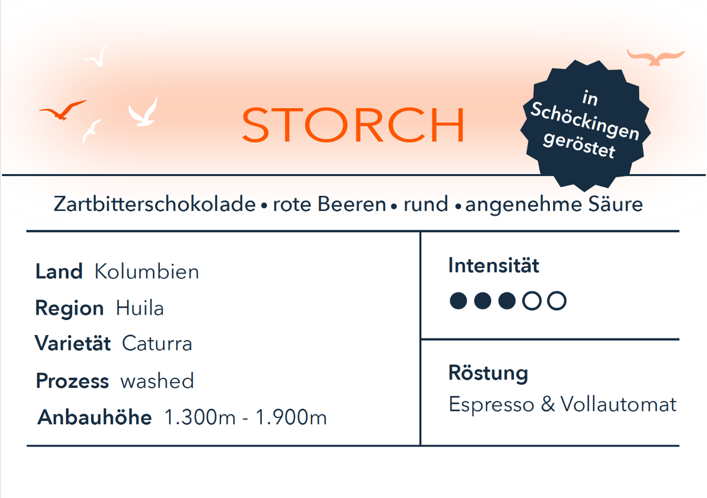 Storch