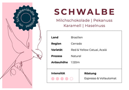 SCHWALBE